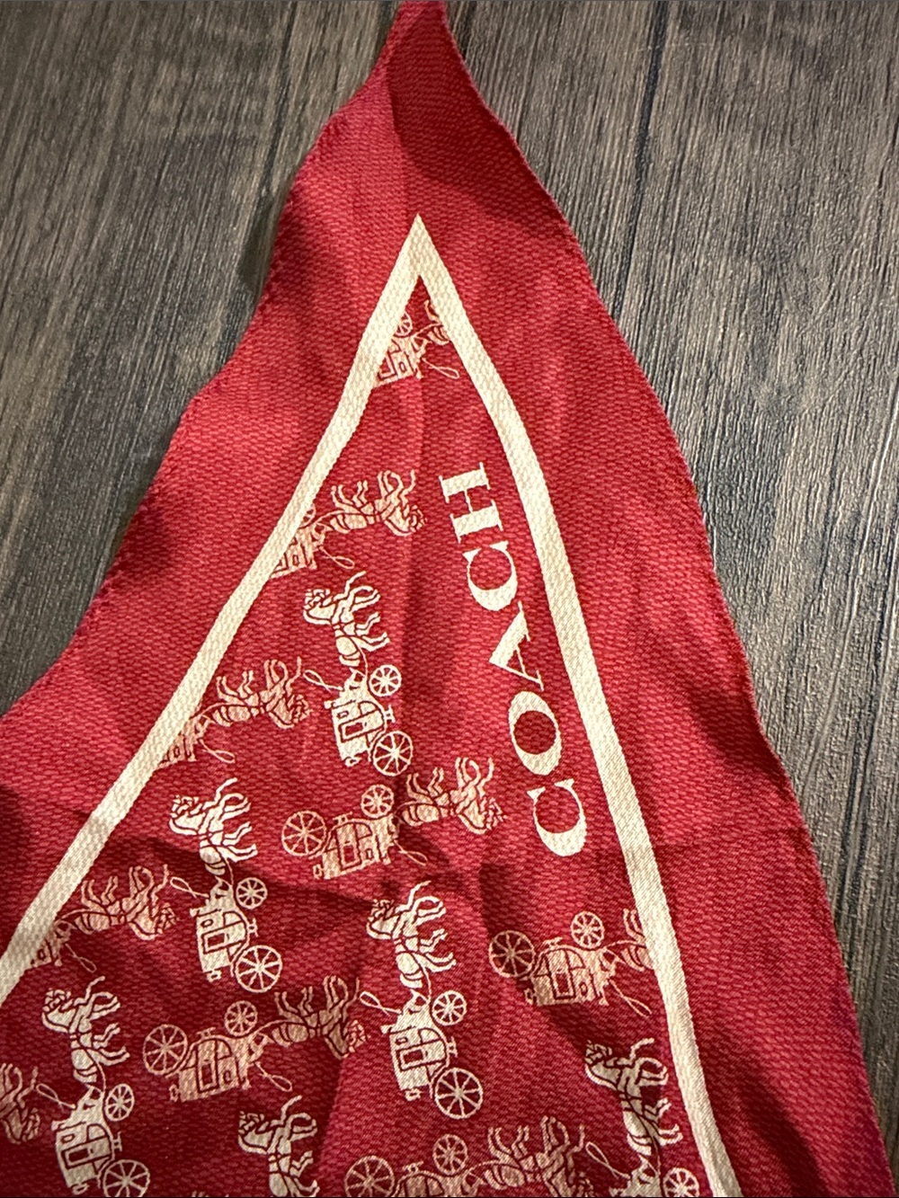 COACH HORSE AND CARRIAGE RAINBOW PRINT SILK DIAMOND SCARF - Picture 5 of 6